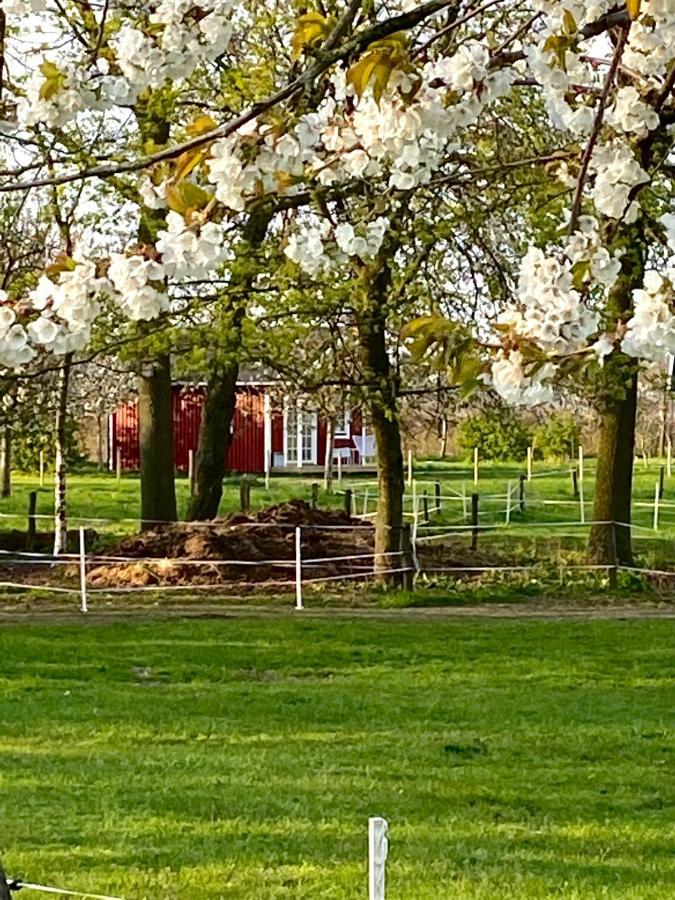 De Heeren Hoeve Carpe Diem Bed and Breakfast Heijen Buitenkant foto