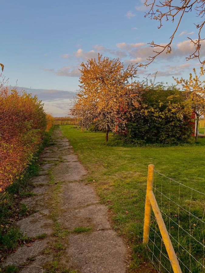 De Heeren Hoeve Carpe Diem Bed and Breakfast Heijen Buitenkant foto