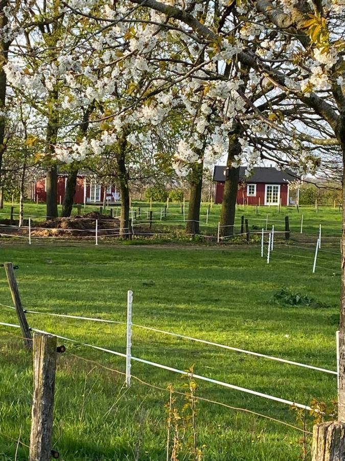 De Heeren Hoeve Carpe Diem Bed and Breakfast Heijen Buitenkant foto